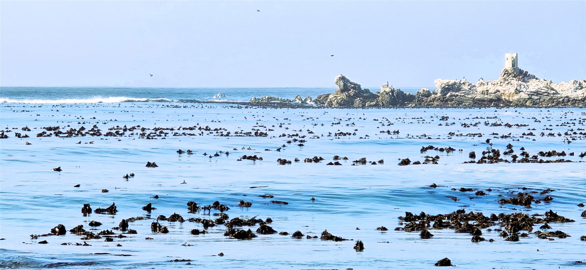 Jocks Bay Photo 6